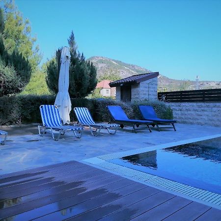 Irinas Country Home! Trimiklini Esterno foto